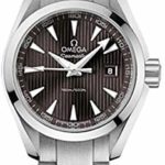 Omega Seamaster Aqua Terra Teak Grey Dial Stainless Steel Watch 23110306006001