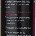 Liquid Indoor Plant Food, All-Purpose Indoor Plant Fertilizer, Liquid Plant Food, Easy Peasy Plants House Plant Fertilizers 4-3-4 Plant Nutrients, House Plant Food | Lasts Same as 16 oz Bottle