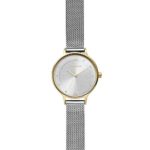 Skagen Women’s Anita Quartz Analog Stainless Steel and Mesh Watch, Color: Gold/Silver (Model: SKW2340)