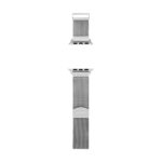 Skagen Silver Stainless Steel Mesh Band for Apple Watch®, 38mm/40mm (Model: SKS9025)