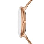 Skagen Women’s Gitte Two-Hand Rose Gold-Tone Stainless Steel Mesh Watch (Model: SKW3013)