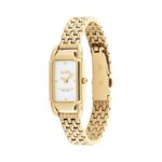 Coach Cadie Women’s Watch | Timeless and Aesthetic | Designed for Every Occasion | Water Resistant (Model 14504036)